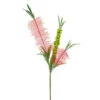 Red Bottle Brush - 47cm -Santa Decorate Shop 5427RD RED BOTTLE BRUSH 49907.1670248560