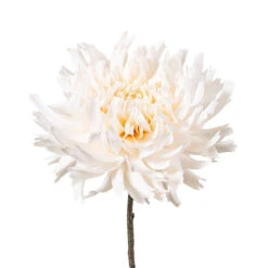 Cream Dahlia Spray - 56cm