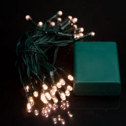LED Battery Operated Fairy Lights 40pc - Warm White -Santa Decorate Shop api7wzzbj 85044.1641046194