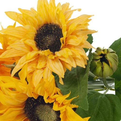 Yellow Sunflower Bouquet - 45cm 4 Yellow Sunflower Bouquet - 45cm - Image 2