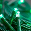 100 LED Connectable Fairy Lights - Green -Santa Decorate Shop apisycxya 52493.1641046352